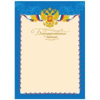 Бланк Благодарственное письмо, BBP_652/BBP_6515