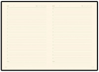 Набор подарочный BrunoVisconti PARLIAMENT черный (ежедневник недат. А5, ручка) 3-212/02-2